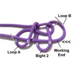 Loop B