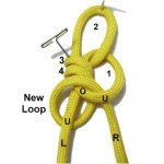 Loop 5