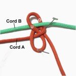 Cord B