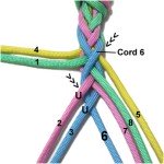 Cord 6