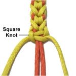 Square Knot